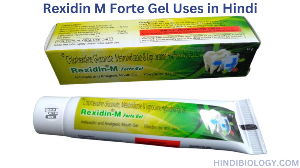 Rexidin M Forte Gel Uses in Hindi- जानकारी, लाभ, फायदे और नुकसान