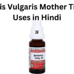 Berberis Vulgaris Mother Tincture Uses in Hindi