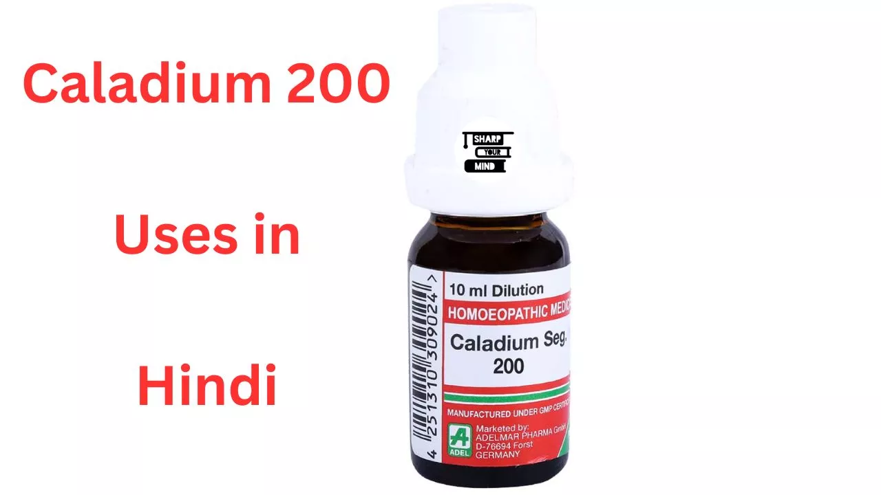 Caladium 200 Uses in Hindi