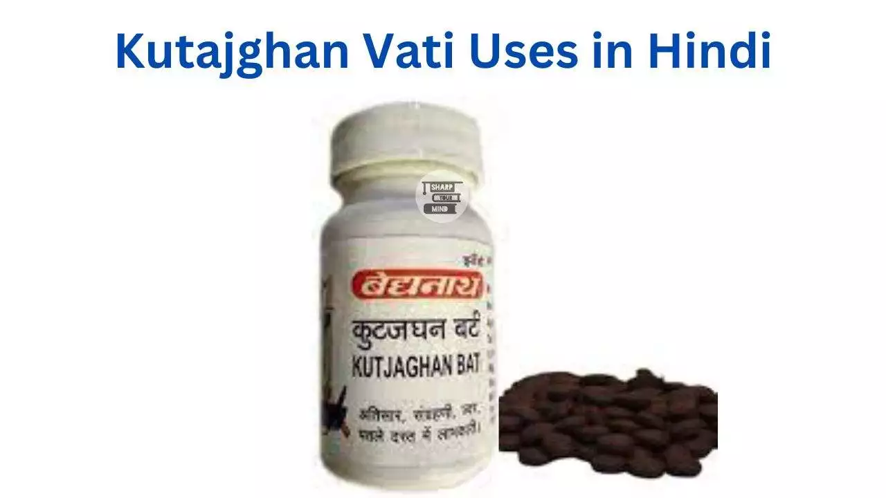 Kutajghan Vati Uses in Hindi