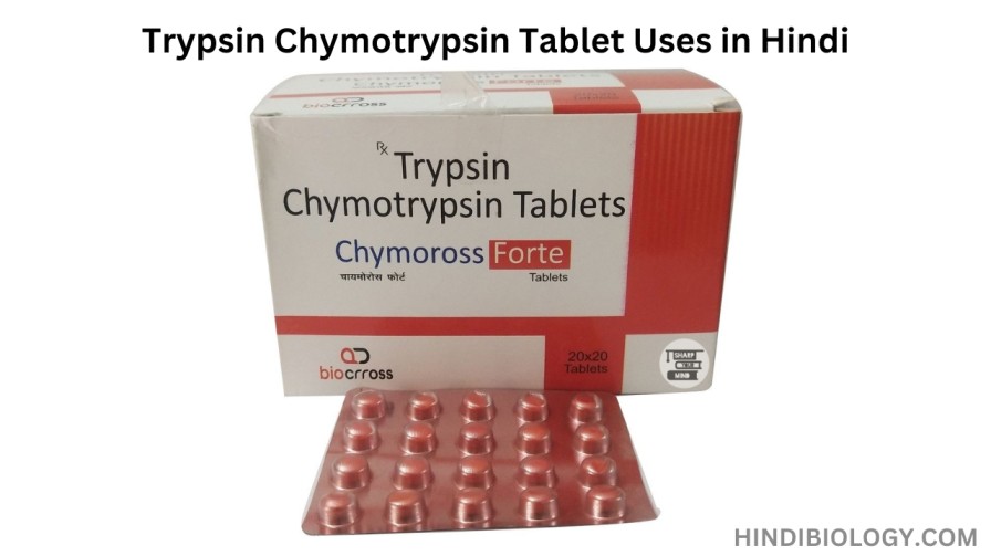 Trypsin Chymotrypsin Tablet Uses in Hindi