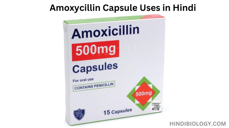 Amoxycillin Capsule Uses in Hindi