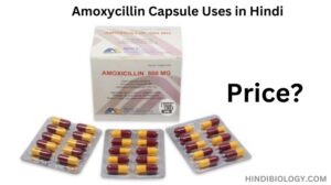 Amoxycillin Capsule price